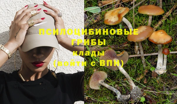 ешки Баксан